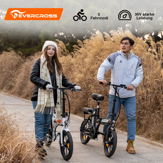 EVERCROSS TECH