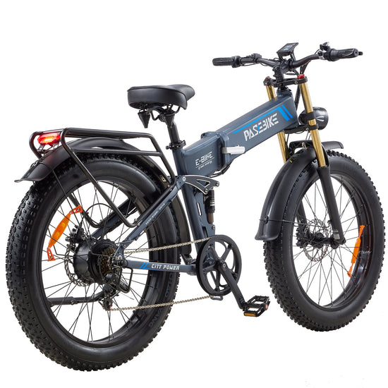 Adult Electric Bike